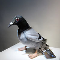 Pigeon en peluche - Hansa