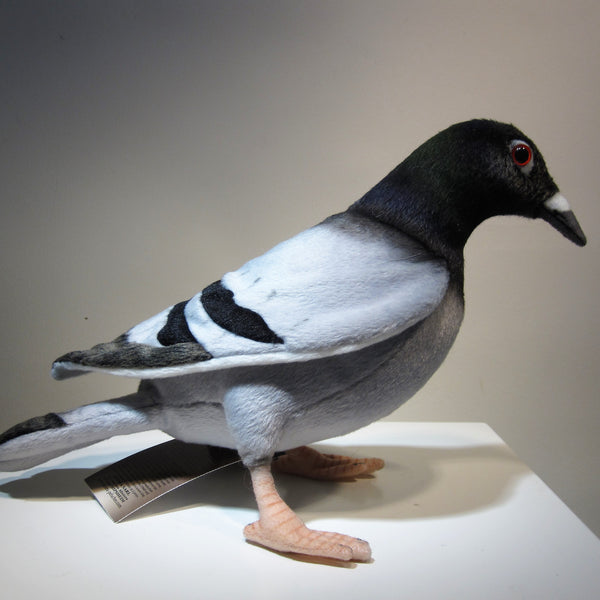 Pigeon en peluche - Hansa – Blitz Bazar & Galerie