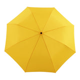 Parapluie Duckheads - London
